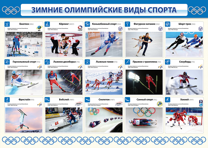 Стенд - Зимние олимпийские виды спорта